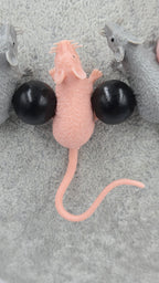 Racing rats